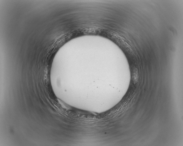 X0000115530964200912040946