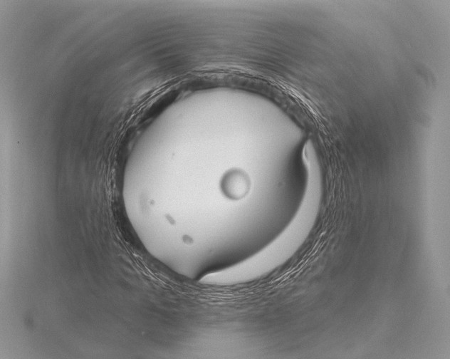 X0000115530965200912040946