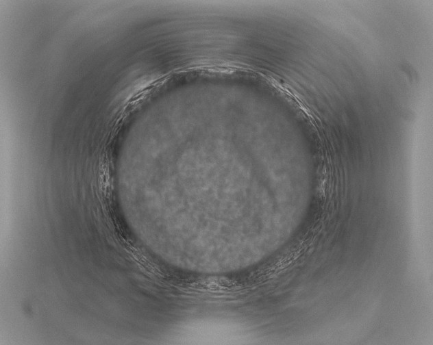 X0000115530966200912040946