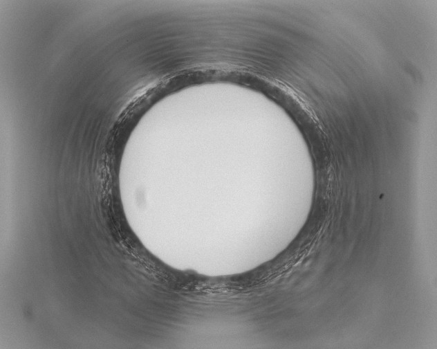 X0000115530967200912040946