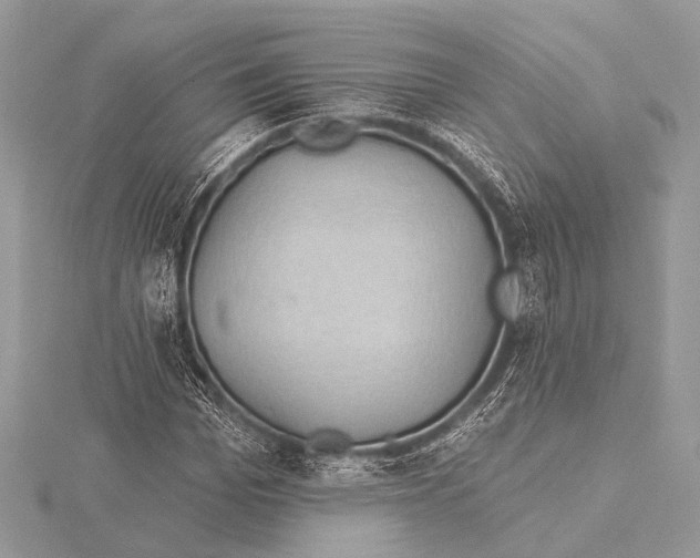 X0000115530969200912040946