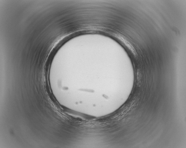 X0000115530972200912040946