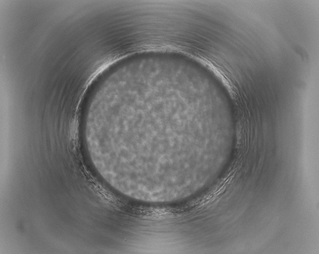 X0000115530975200912040946