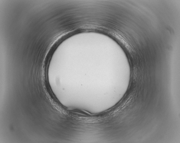 X0000115530976200912040946