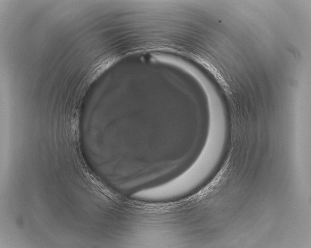 X0000115530977200912040946