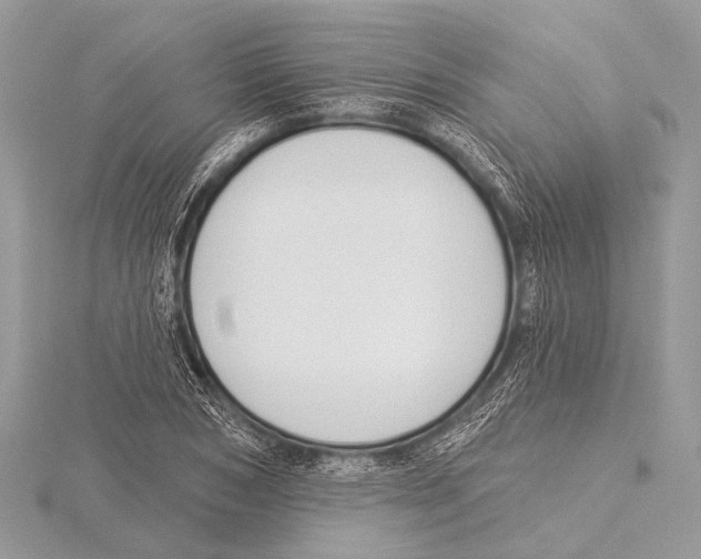 X0000115530978200912040946