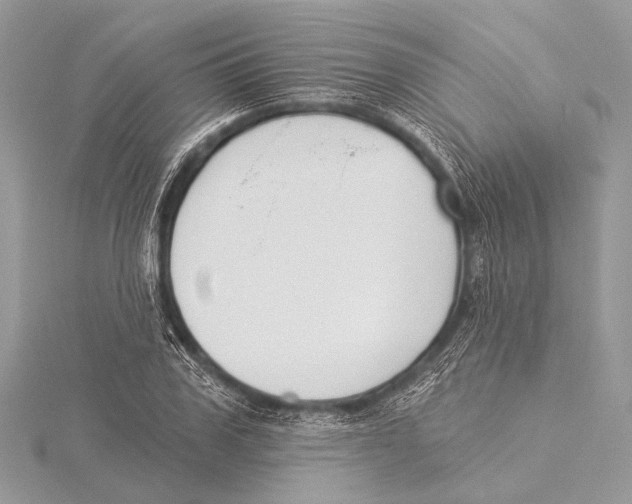 X0000115530979200912040946