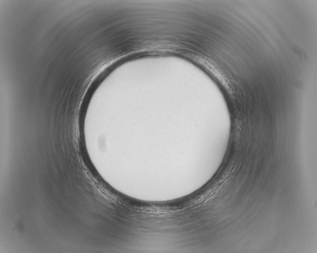 X0000115530980200912040946