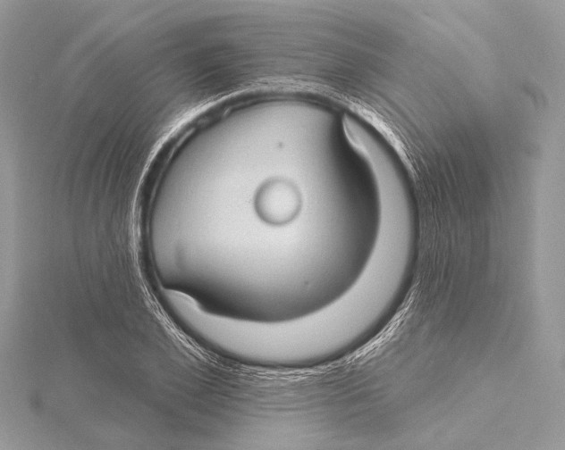 X0000115530981200912040946