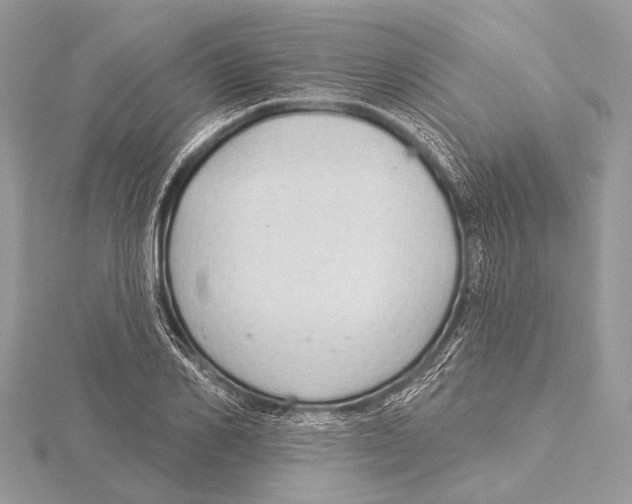 X0000115530982200912040946