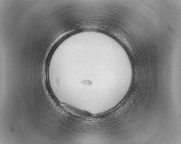 X0000115530984200912040946