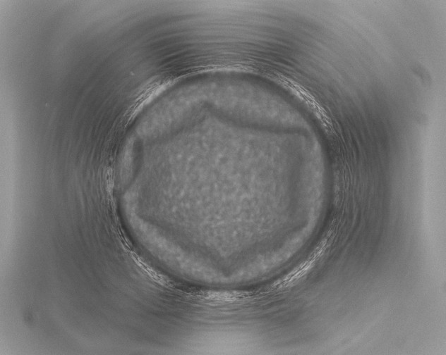 X0000115530985200912040946