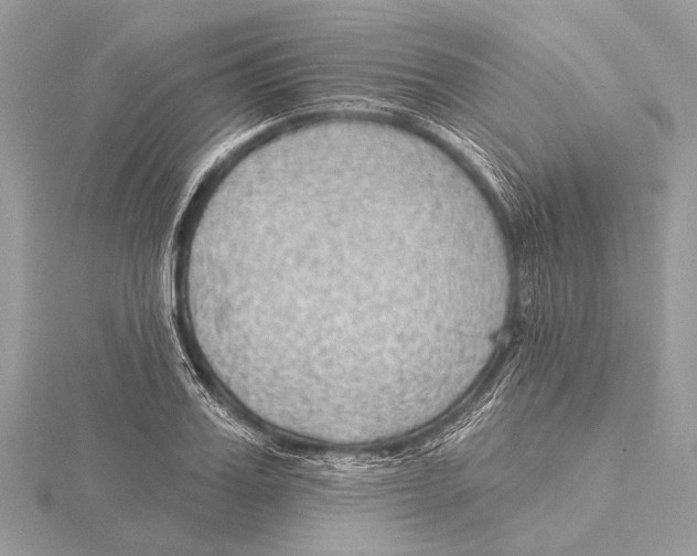 X0000115530987200912040946