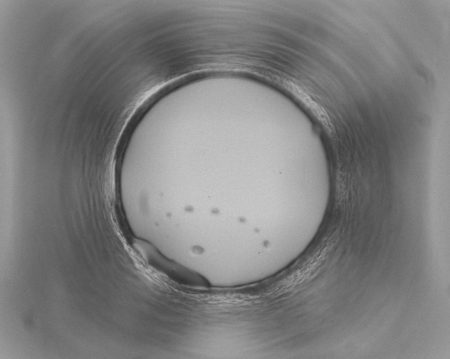 X0000115530988200912040946