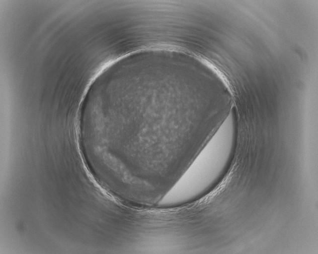 X0000115530989200912040946