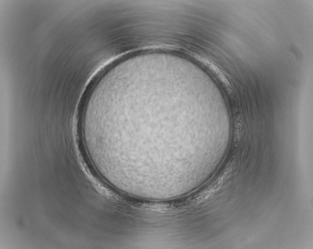 X0000115530991200912040946