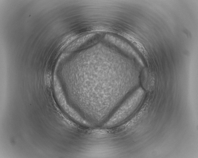 X0000115530993200912040946