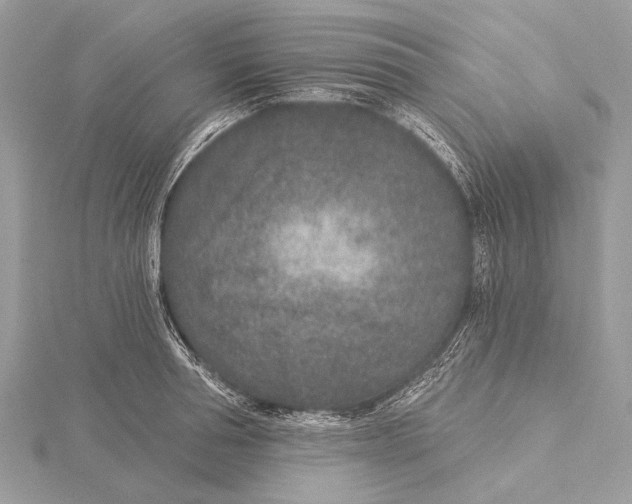 X0000115530994200912040946