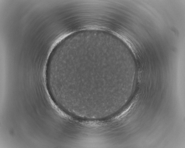 X0000115530995200912040946