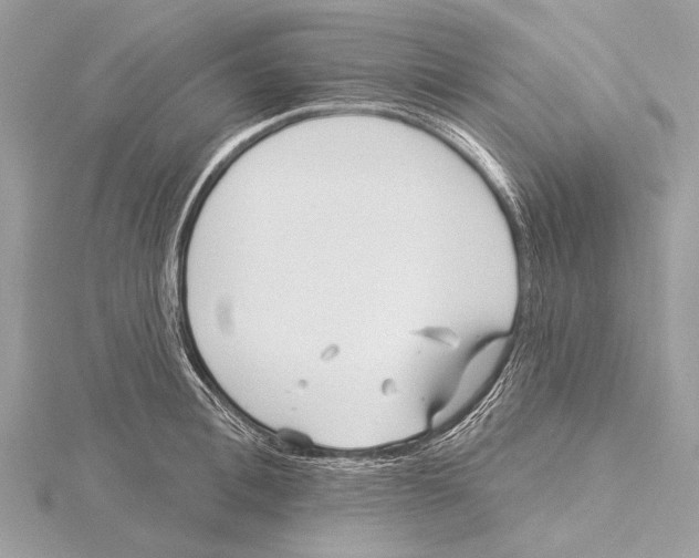 X0000115530996200912040946