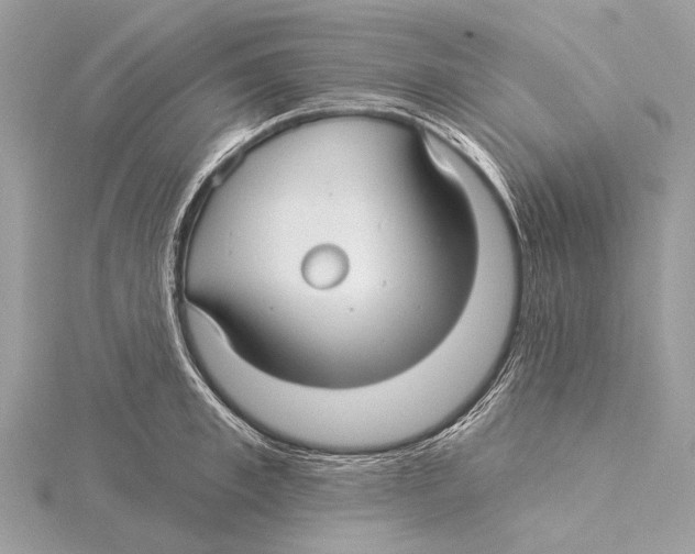 X0000115530997200912040946