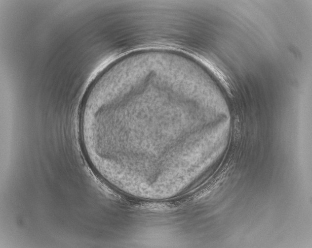 X0000115530998200912040946