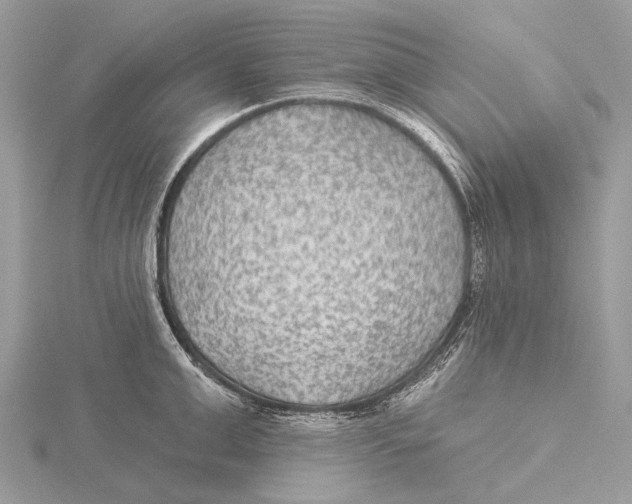 X0000115530999200912040946