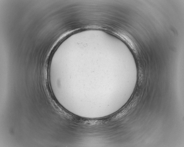 X0000115531000200912040946