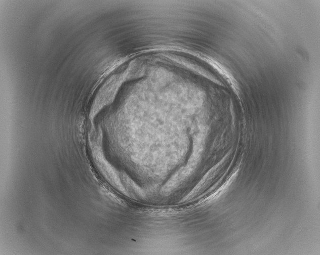 X0000115531001200912040946