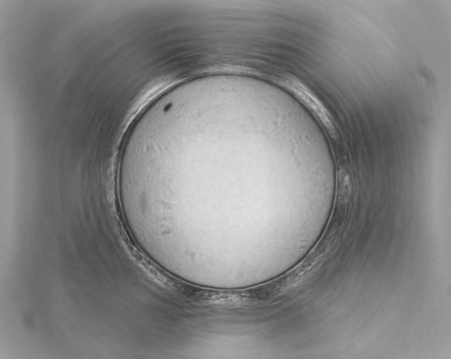 X0000115531002200912040946