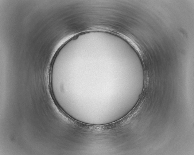 X0000115531003200912040946