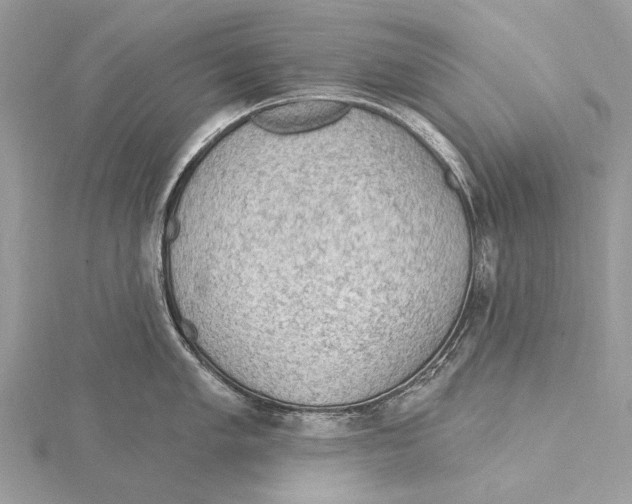 X0000115531005200912040946