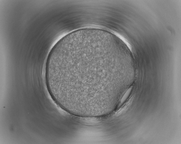 X0000115531007200912040946