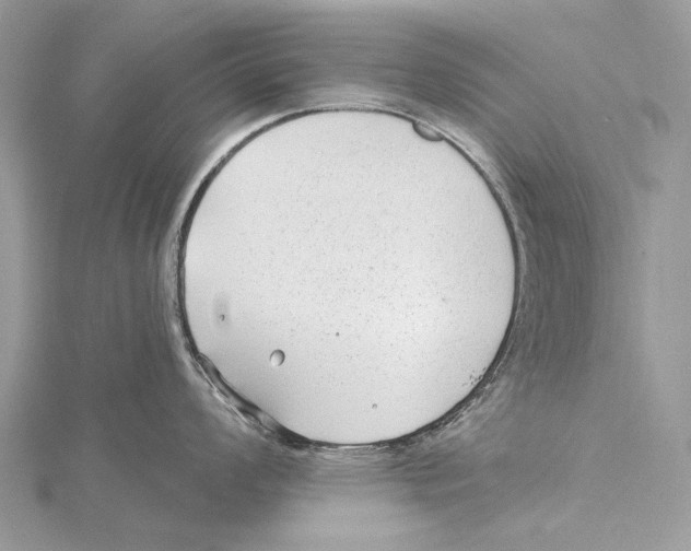 X0000115531008200912040946