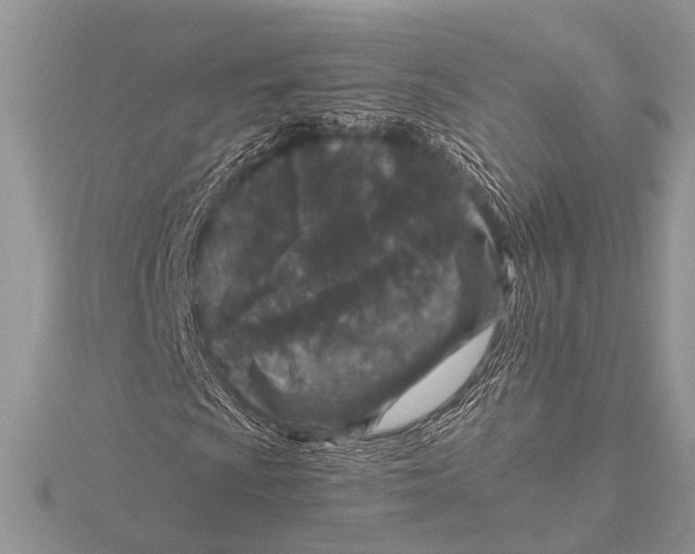 X0000115531009200912040945