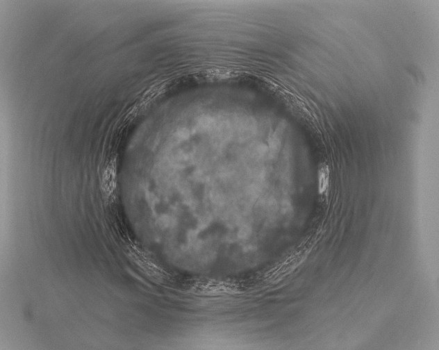 X0000115531011200912040945