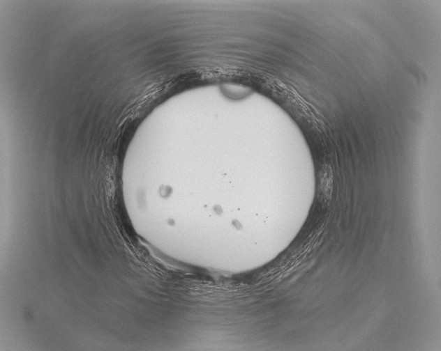 X0000115531012200912040945