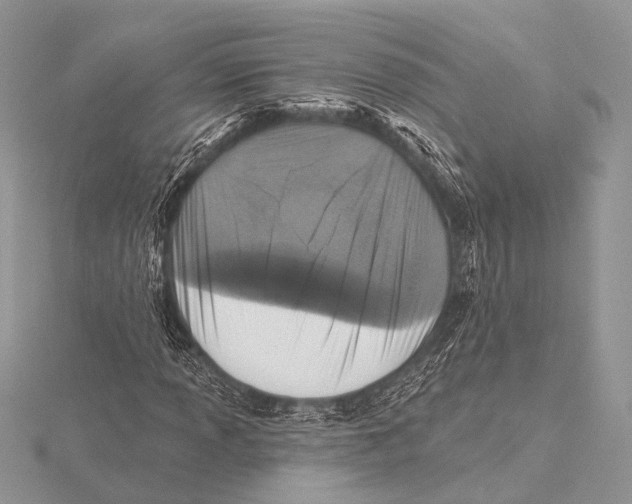 X0000115531013200912040945