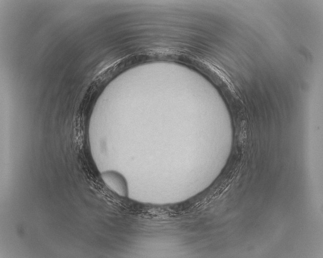 X0000115531015200912040945