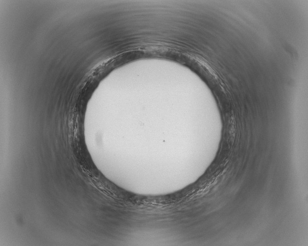 X0000115531016200912040945