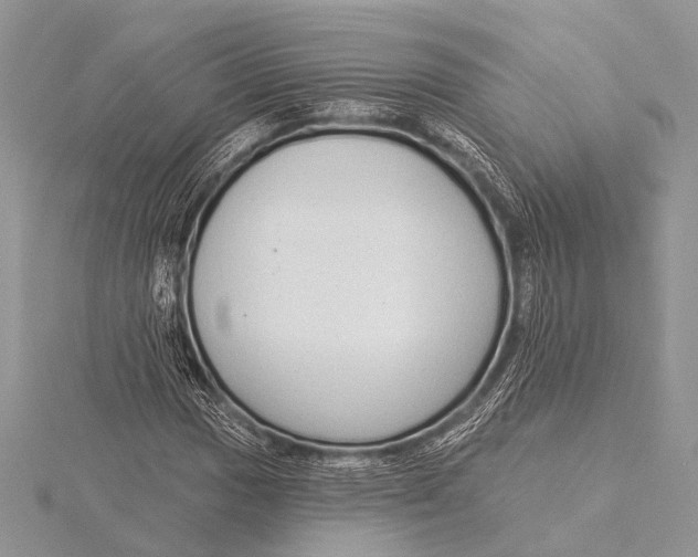 X0000115531017200912040945