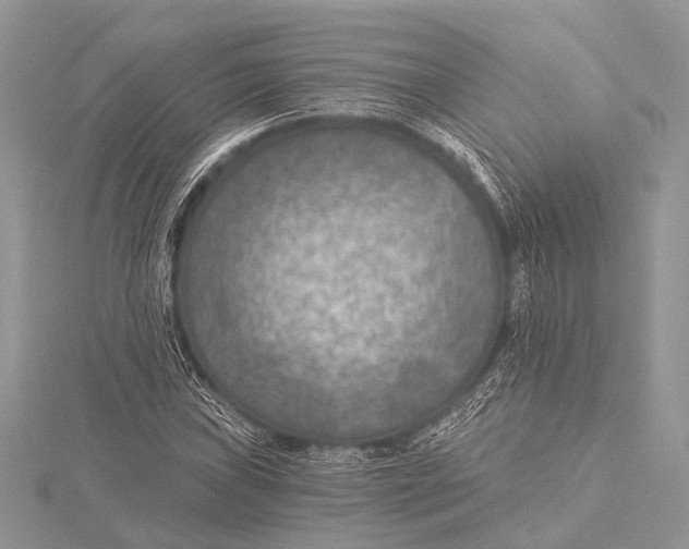 X0000115531019200912040945