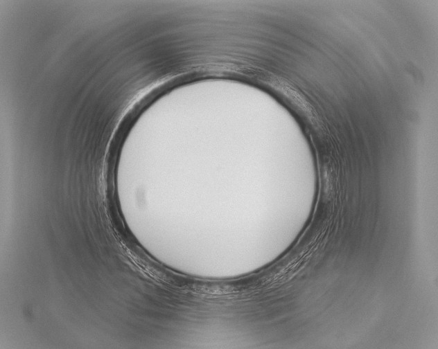 X0000115531020200912040945