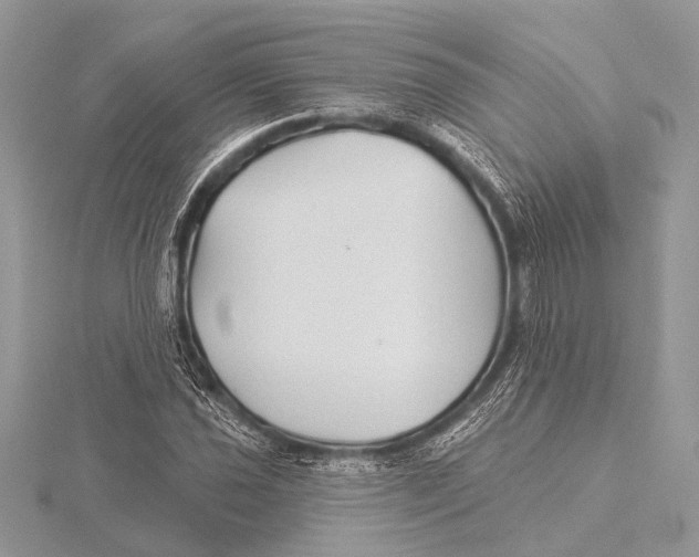 X0000115531021200912040945