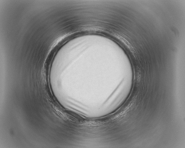 X0000115531022200912040945