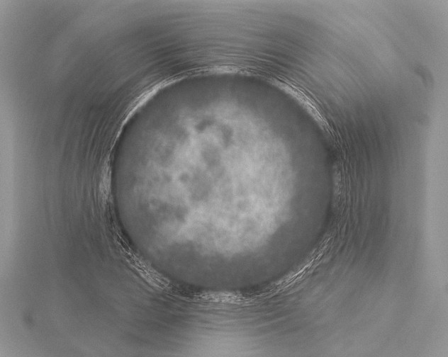 X0000115531023200912040945