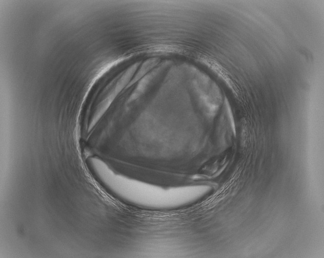 X0000115531024200912040946