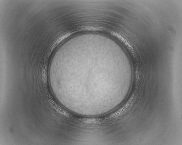 X0000115531025200912040946