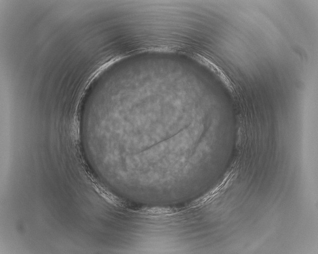 X0000115531027200912040946