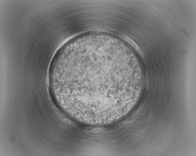 X0000115531028200912040946